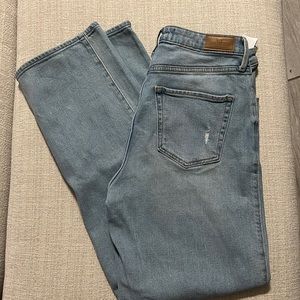 Hollister Jean
